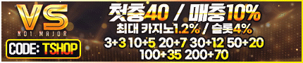 VS 카지노